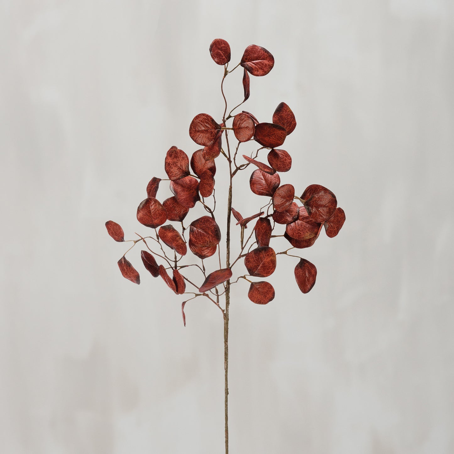 Burgundy Eucalyptus Pick