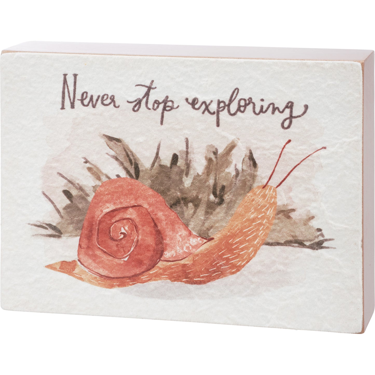 Never Stop Exploring Watercolor Box Sign