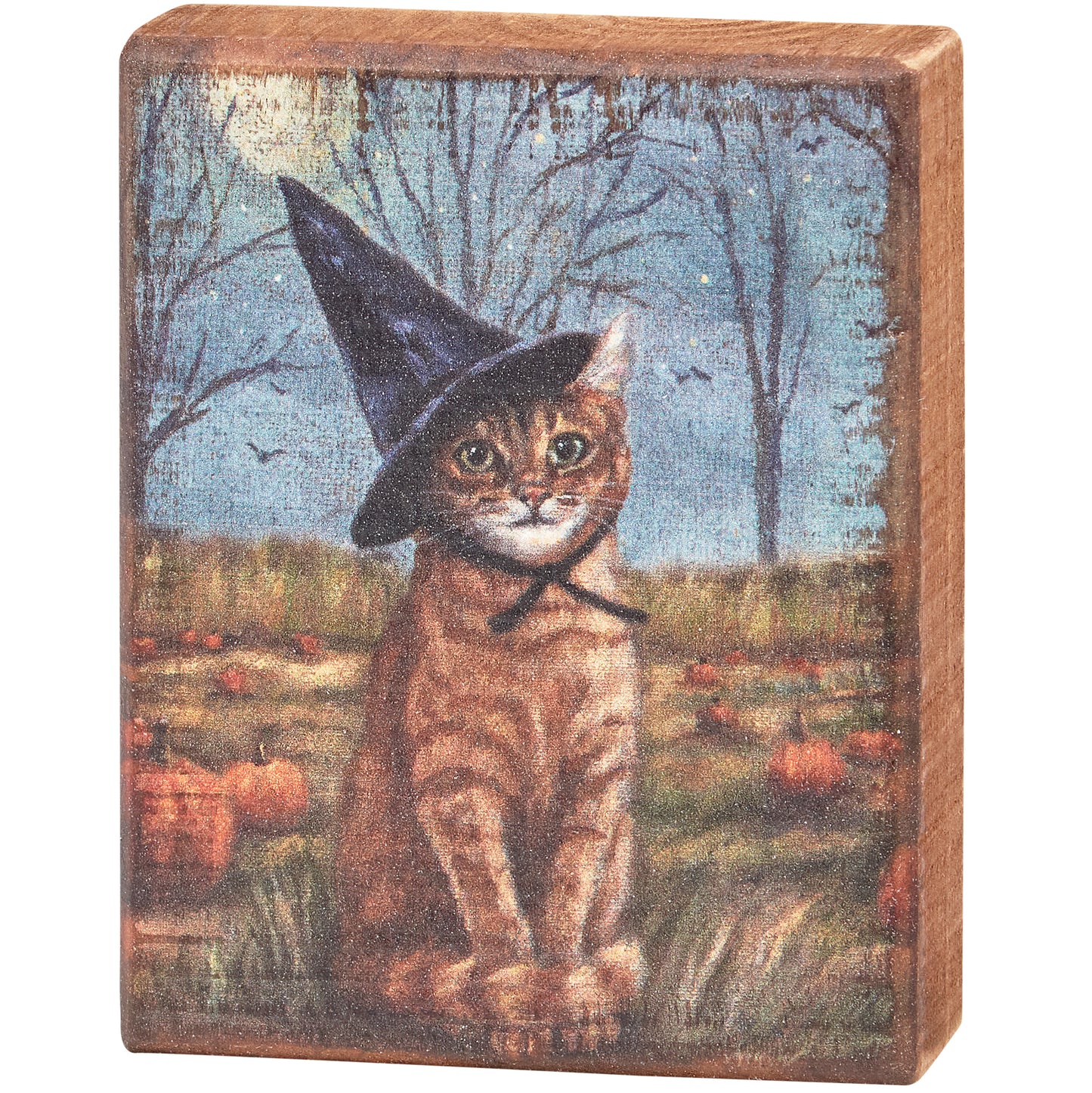 Cat As A Witch Block Sign