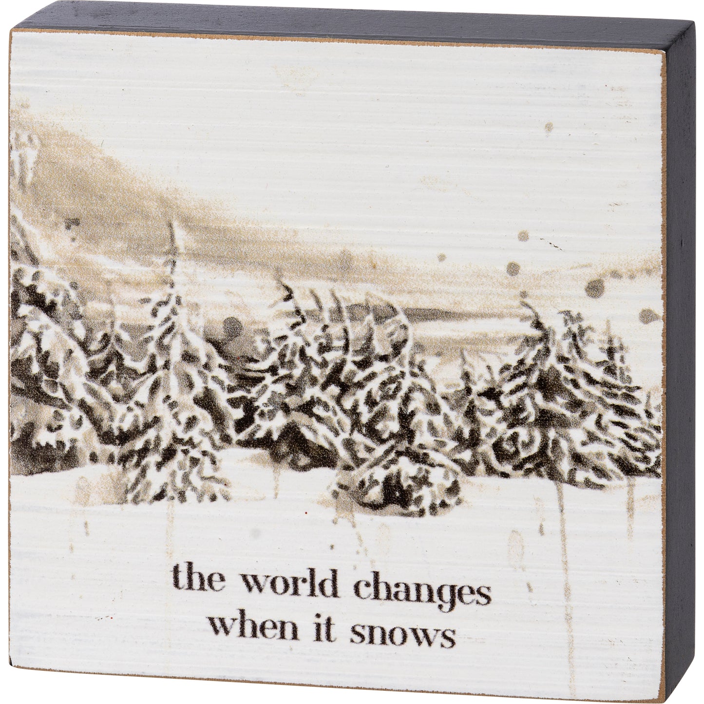 Block Sign - The World Changes When It Snows